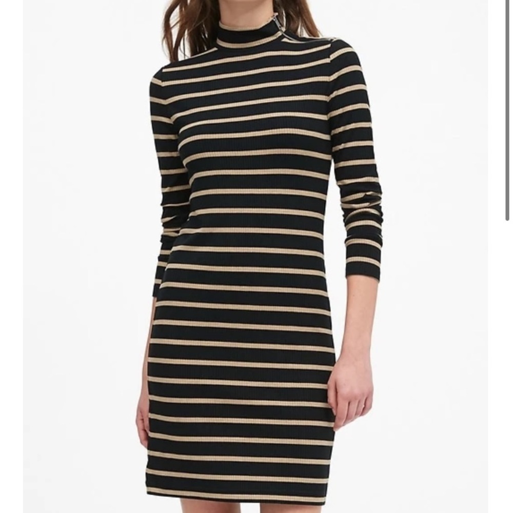 Banana Republic turtleneck Rib Knitted Dress